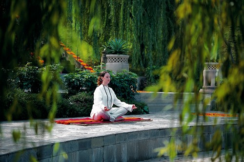 Ananda in Himalayas