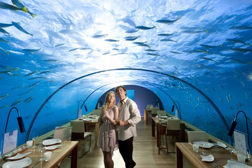 Most Luxurious Restaurants