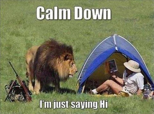 Calm Down .... I'm just saying HI!