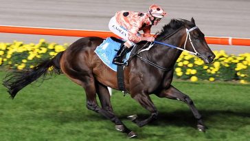 Black Caviar Best Race Horses