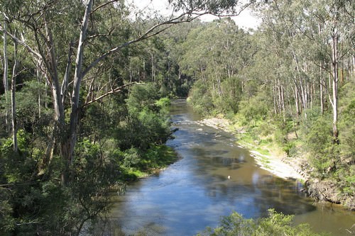 Most Lethal Rivers