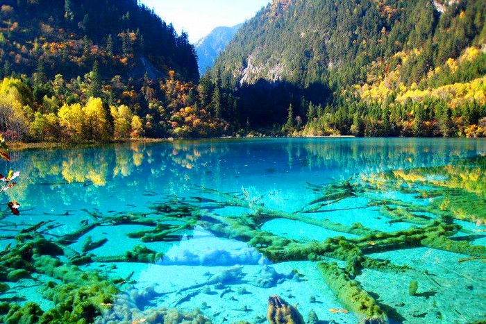 Crystalline Turquoise Lake, Jiuzhaigou National Park, China.