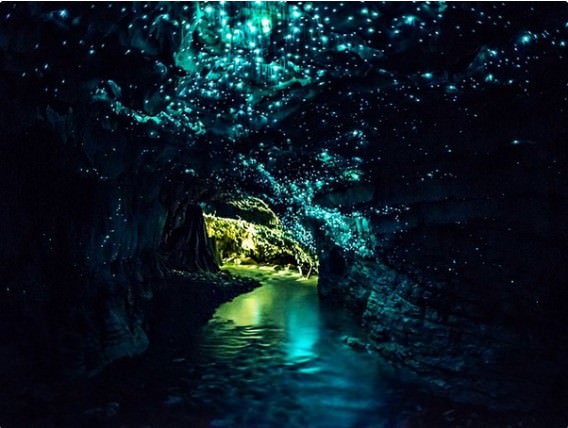 Glowworm Caves, Waitomo - New Zealand