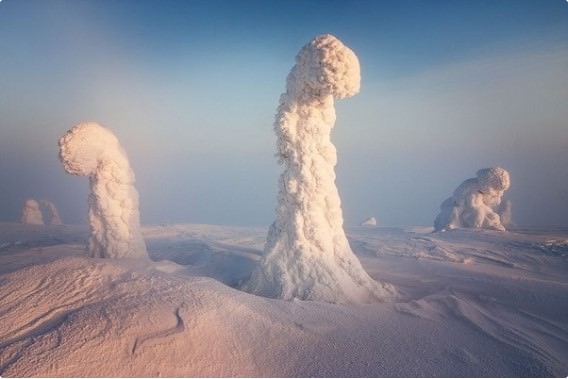 Sentinels of the Arctic - Finland