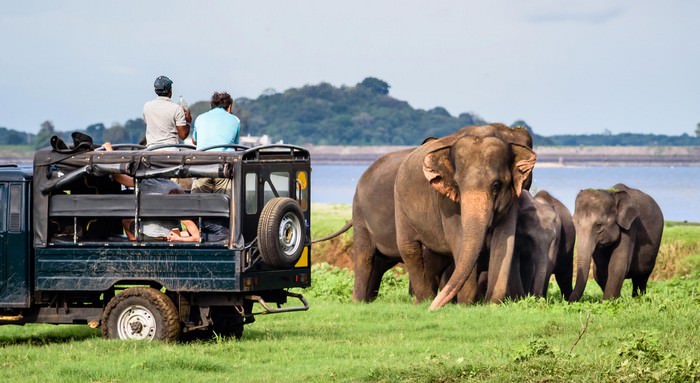 Yala National Park travel destinations in Sri Lanka
